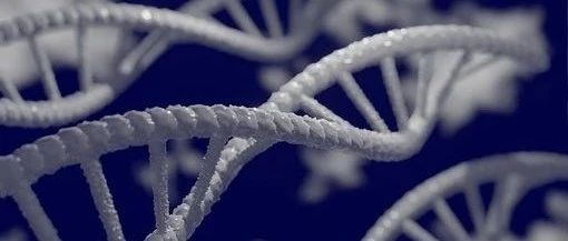 <b>胰腺癌化疗耐药的潜在新机制</b>