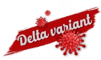 辉瑞疫苗遭受质疑，疫苗对“Delta”变异株的有效率从94%跌至64%！